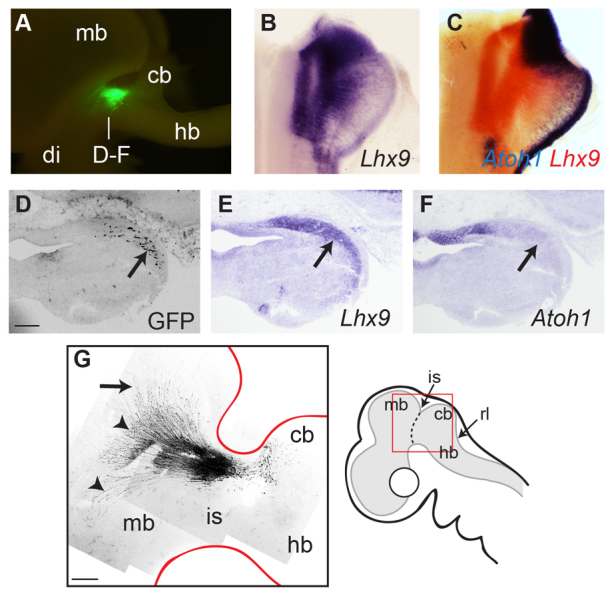 Fig. 2.