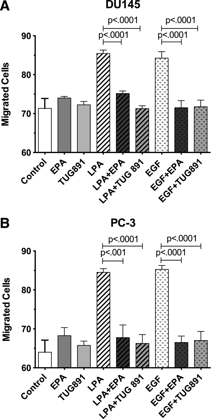 Fig. 9.