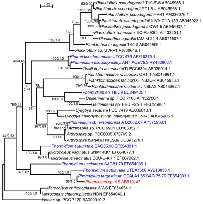 Figure 2