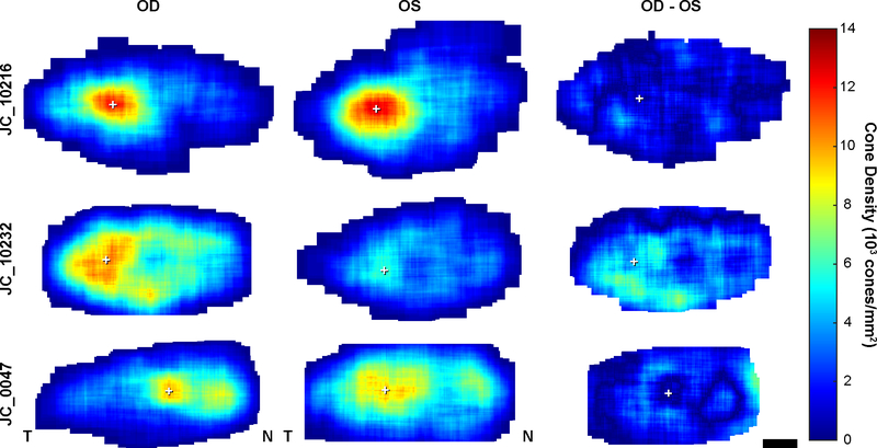 Figure 5.