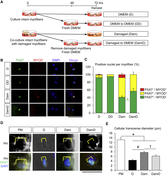 Figure 3