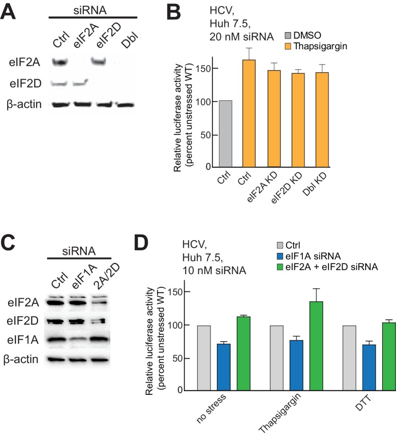 Figure 5—figure supplement 2.