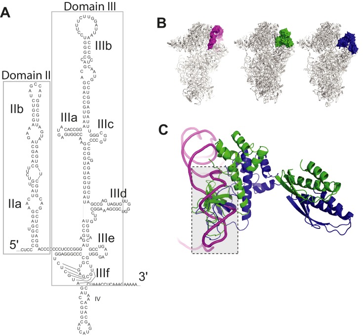 Figure 1—figure supplement 1.