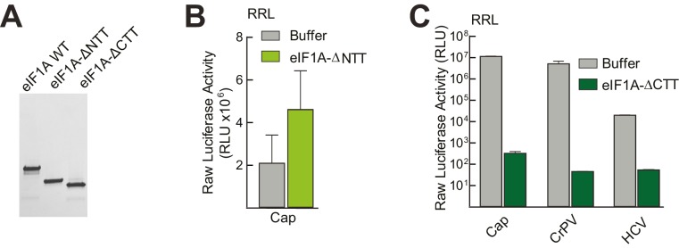 Figure 3—figure supplement 1.