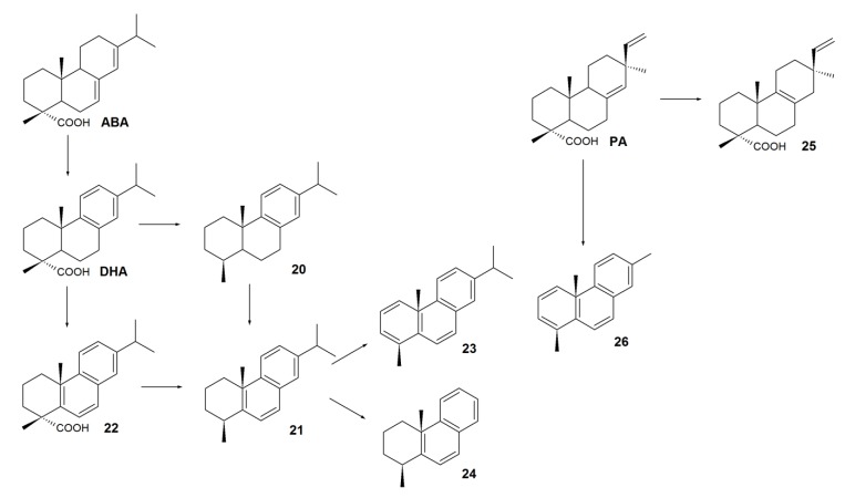 Scheme 4