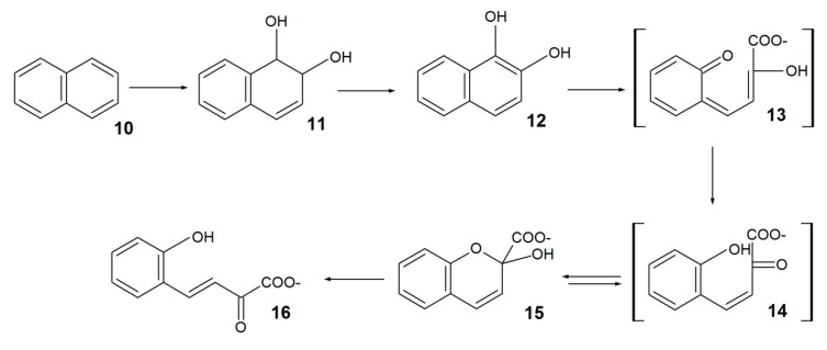 Scheme 2