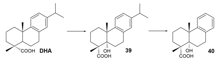 Scheme 5