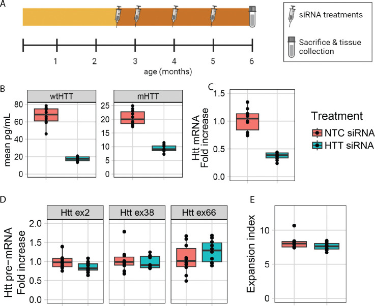 Figure 4: