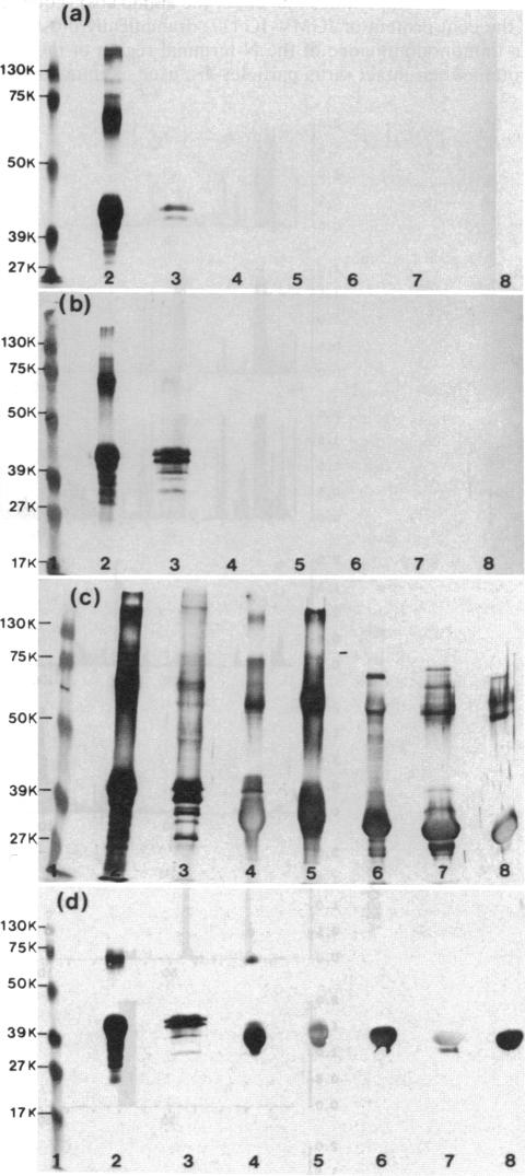 graphic file with name pnas00288-0028-a.jpg