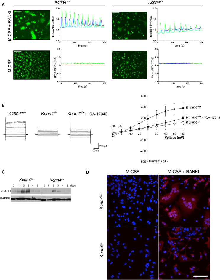 Figure 6