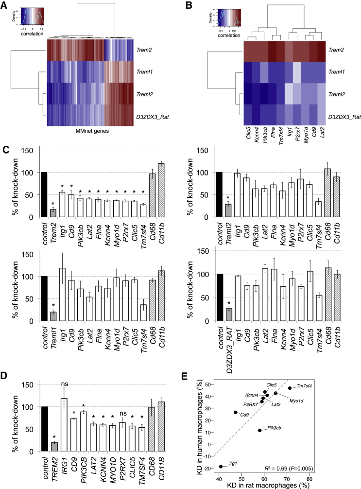 Figure 2