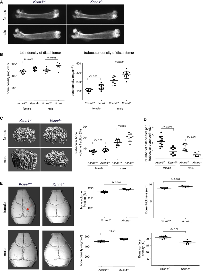 Figure 4