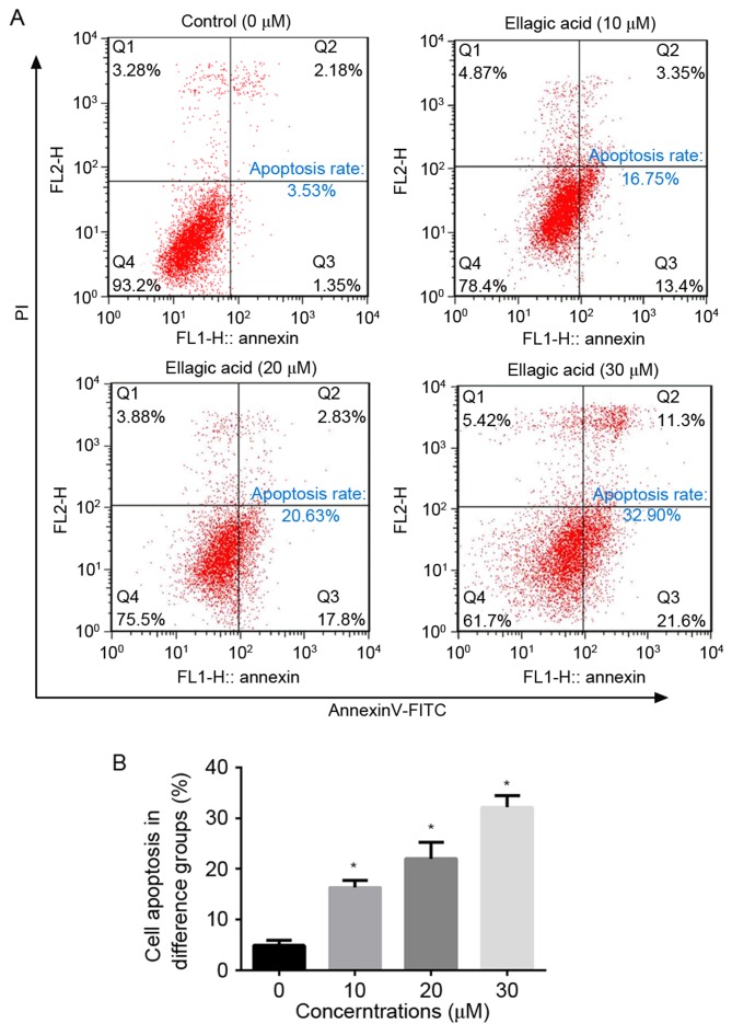 Figure 2.