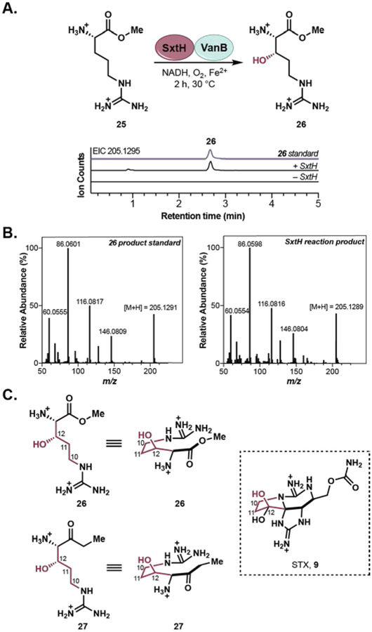 Figure 5.