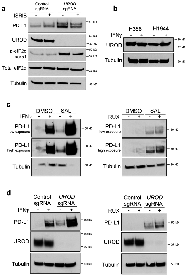 Extended Data Fig. 5.