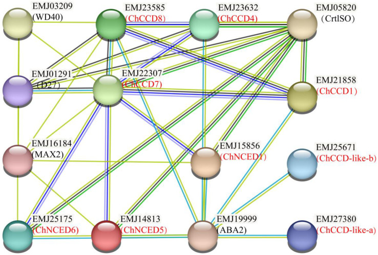 Figure 2