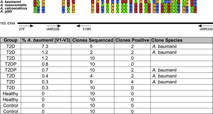 Figure 5