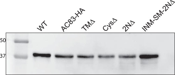 FIG 6