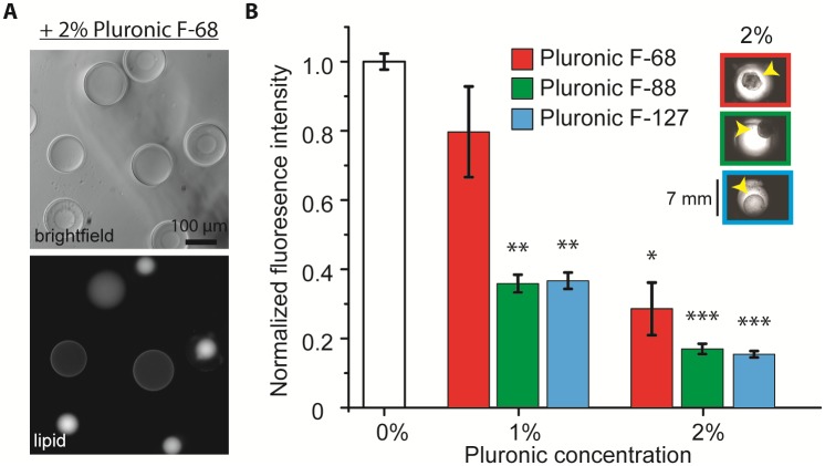 Fig 5