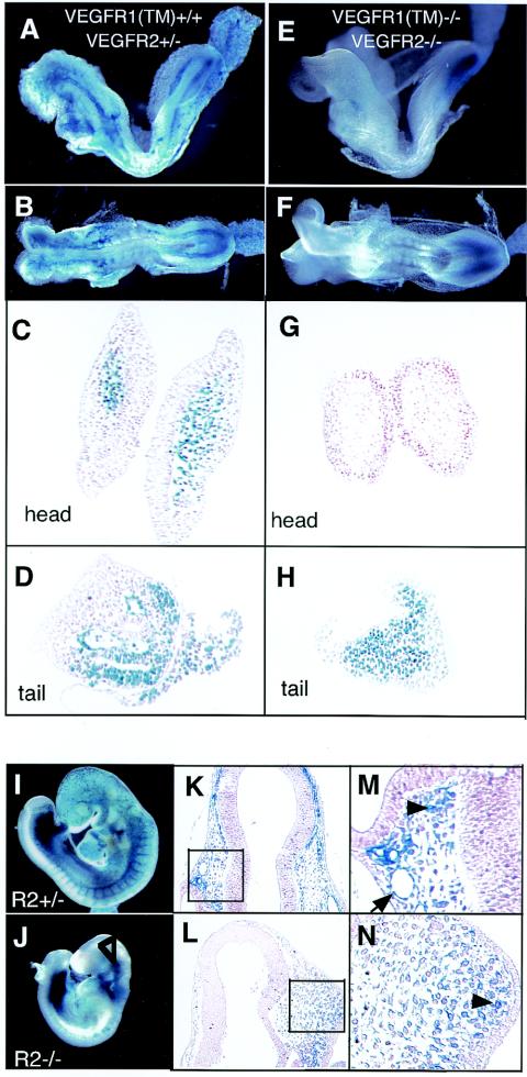 FIG. 5.