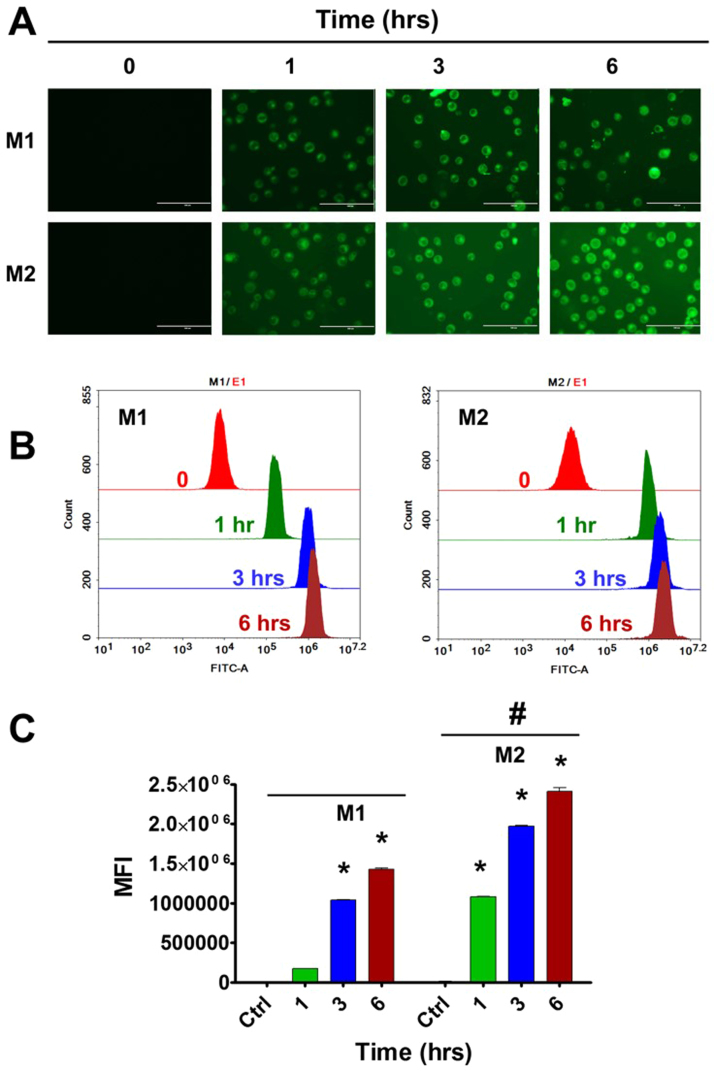 Fig. 4