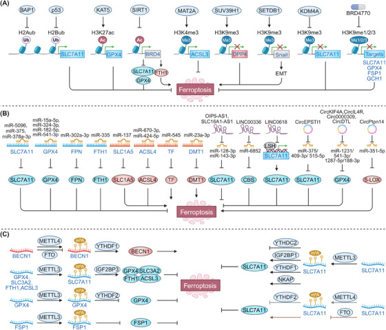 FIGURE 2