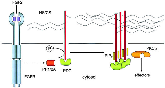 Figure 9.