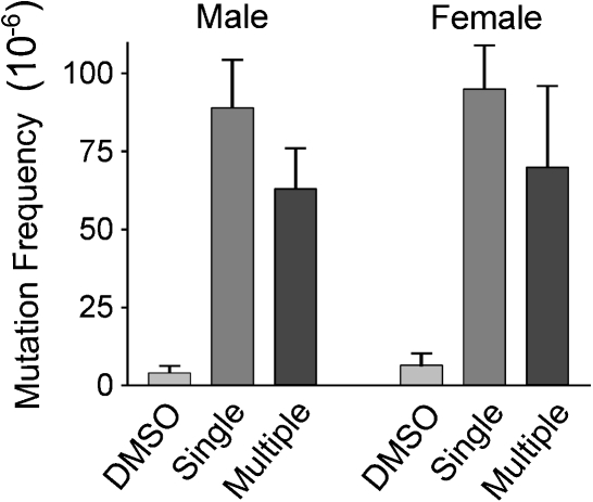 FIG. 4.