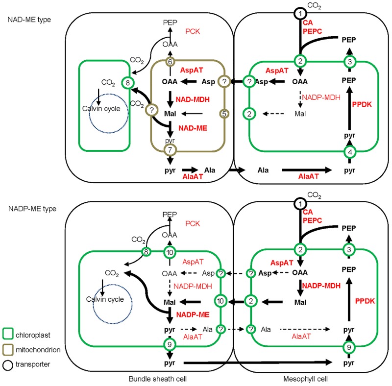 FIGURE 2