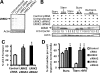 Figure 6.