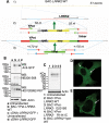 Figure 1.