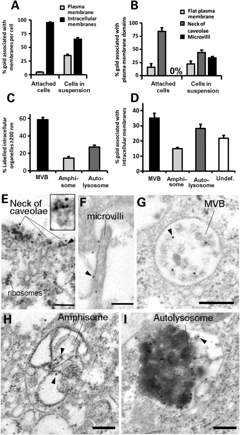 Figure 3.