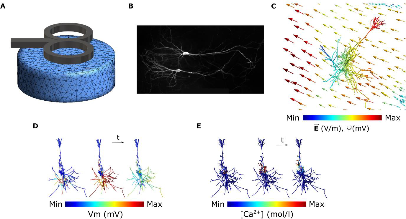 Figure 1.