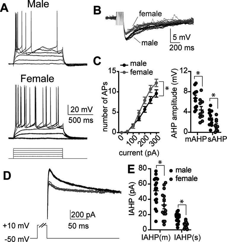 Figure 11.