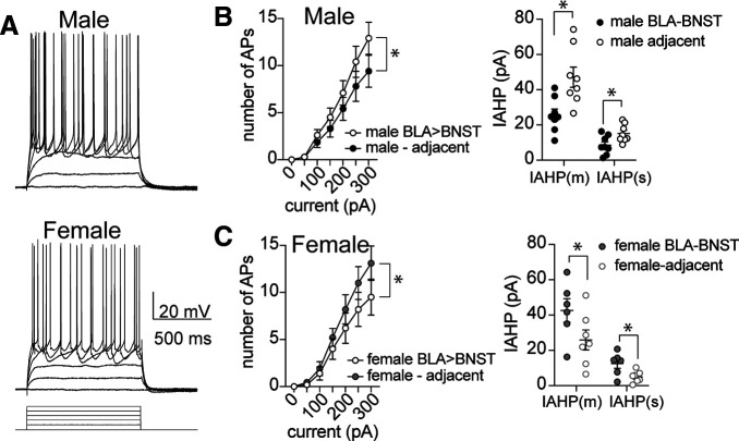 Figure 12.