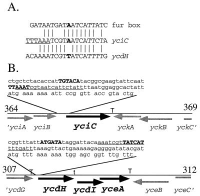 FIG. 5