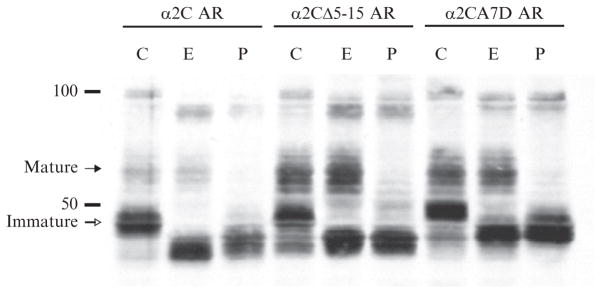 Figure 9.3