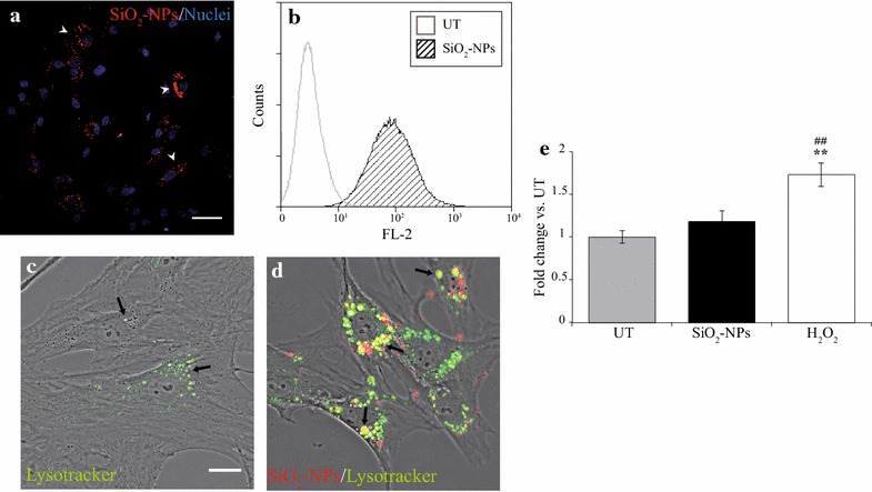 Fig. 1