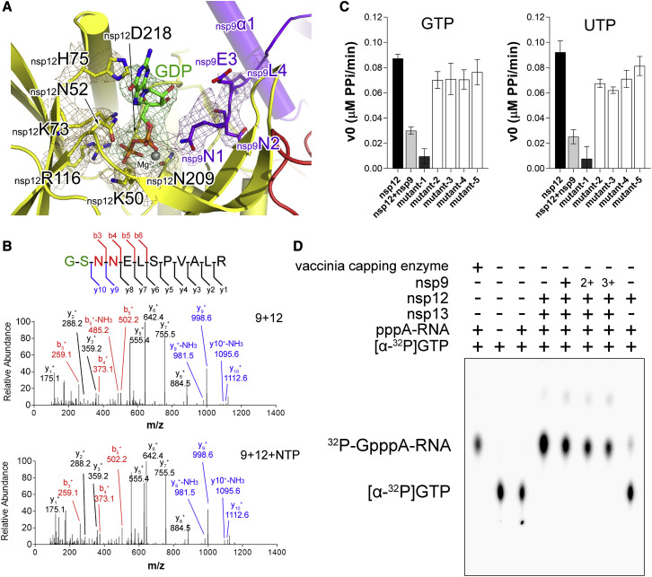 Figure 4