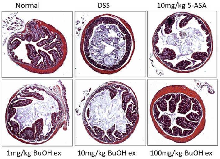 Fig. 10