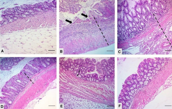 Fig. 12