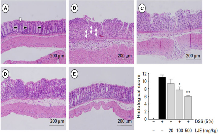 Fig. 11