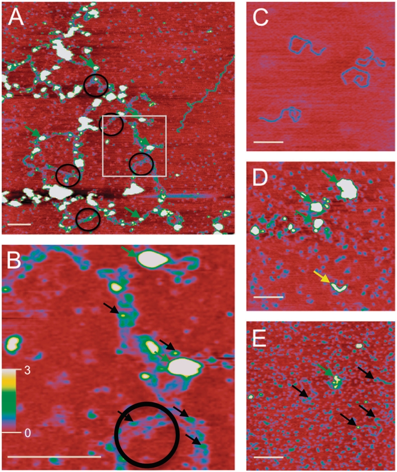 Figure 3.