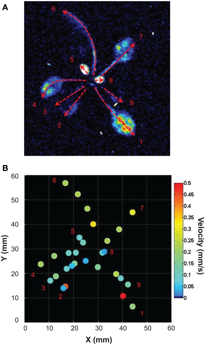 Figure 7