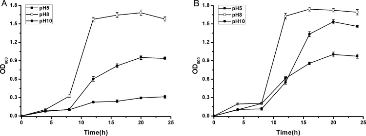 Fig 6