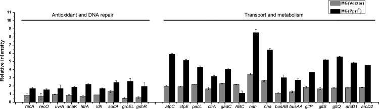 Fig 9