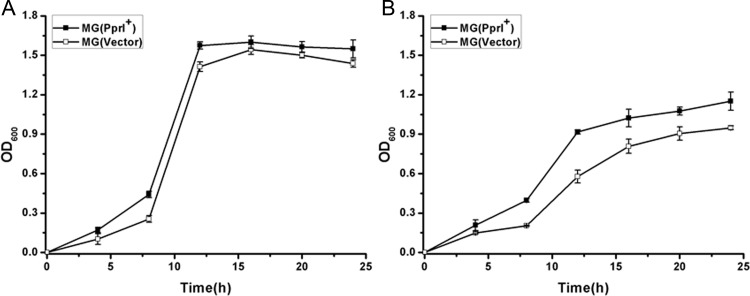 Fig 5