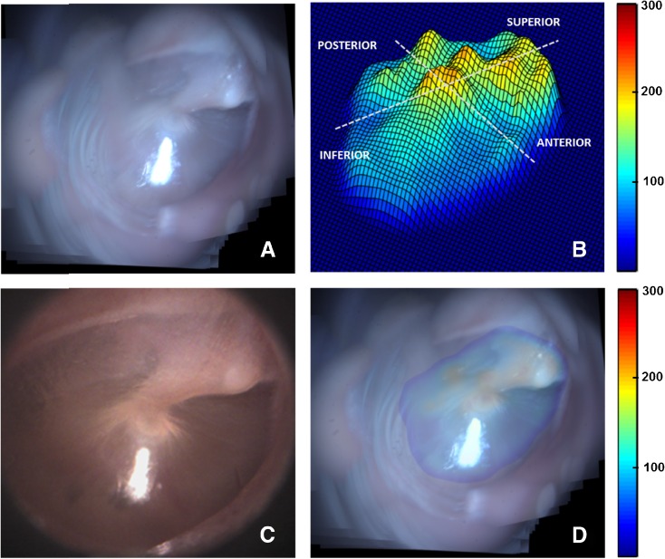 FIG. 7