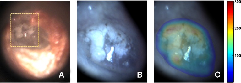 FIG. 8