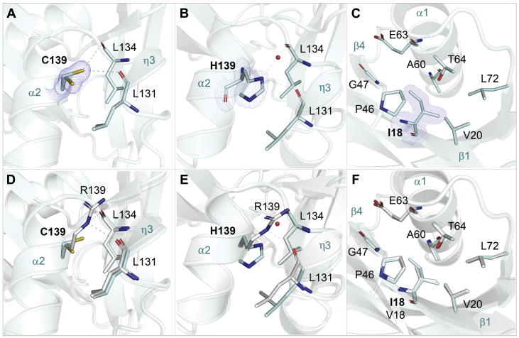 Figure 5